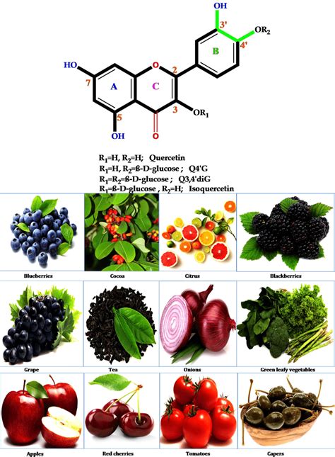 vegetables high in quercetin encycloall