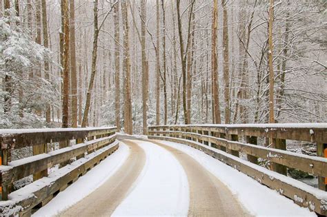 Very Pretty Scene Of The Snow At Tremont In Great Smoky Mountains