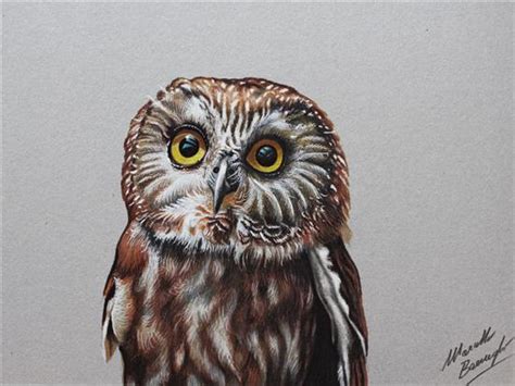 Collection by laurel chalker • last updated 9 weeks ago. 100+ Realistic Colored Pencil Drawings by Marcello Barenghi