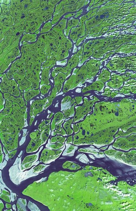 This scenic parkway links natchez with nashville and crosses some of the most beautiful terrain in the states of mississippi, alabama and tennessee. River wild: Beautiful pictures trace river deltas from ...