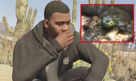 Gta Peyote Locations How To Find All Peyote Plants In Gta 5 Online