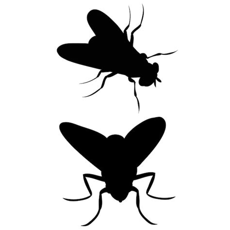 Premium Vector Isolated Silhouette Fly