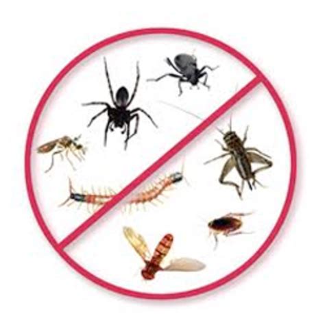 Pest ex have been providing fast, innovative and safe termite and. Frontier Pest & Termite Services - Pest Control and ...