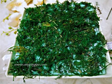 Cara gubah bunga orkid paling simple tapi cantik confirm boleh buat walau keras tangan vanilla kismis. Idea Gubahan Bunga Orkid Sebagai Hiasan Rumah - Hias.my