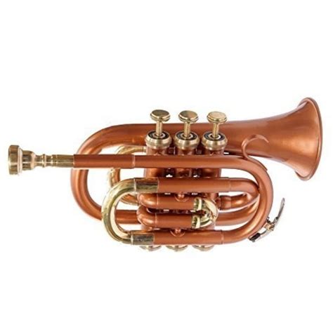 Wind Brass Rmze Professional Copper Pocket Trumpet Weight 170 Kg At