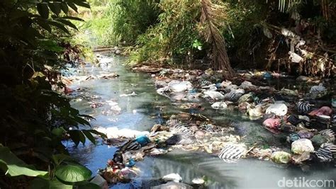 Di sekitar sungai ada dua sungai ini meerupakan sungai yang memiliki panjang yang luas dengan air yang tenang dan jernih. Bupati Emil Siapkan Strategi Atasi Pencemaran Sungai di Trenggalek