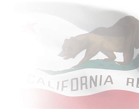 History And Culture California State Symbols California State