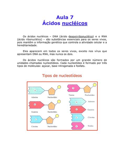 Calaméo Biologia Aula 07 Ácidos Nucléicos
