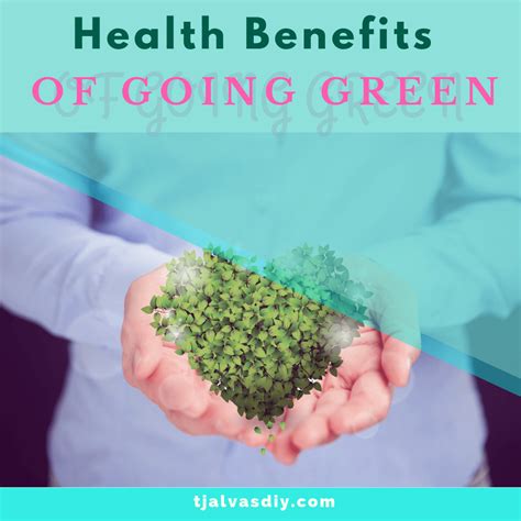 Health Benefits Of Going Green Find Out What They Are Tjalvas Diy