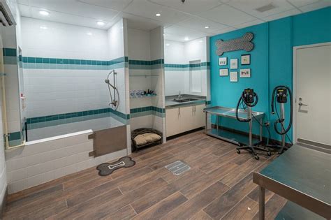 Conveniently located at selected petbarn stores, simply bring you dog in to experience a no fuss bath. Pin by Hannah Bauerschmidt on Pet SPA | Dog grooming salons, Dog grooming shop, Pet hotel design