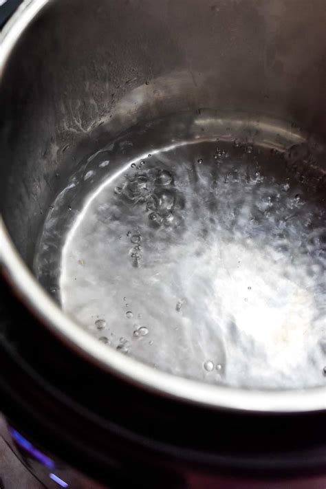 How To Boil Water In An Instant Pot Lynns Way Of Life