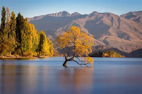 17 Awesome Things To Do In Wanaka Epic 2023 Guide