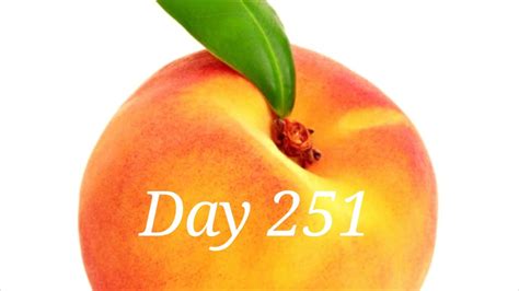 Day 251 Peach Daily Youtube