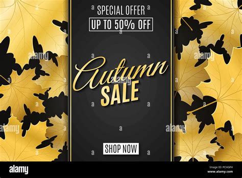 Web Banner For Autumn Sale Advertising Seasonal Banner Invitation