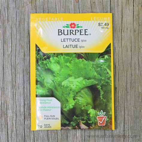 Igloo Lettuce Seeds Burpee Arts Nursery Ltd