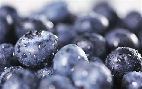 How To Keep Blueberries Fresh Benefits Of Blueberry