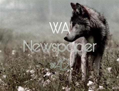 This is a full text searchable collection of newspapers with new historical wa newspaper titles added each year. WA Newspaper | #42 ☓ | Wolf Amino Amino