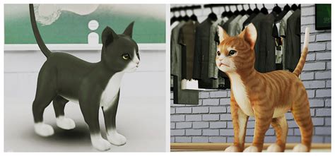 For cats and dogs only! My Sims 4 Blog: We Need Pets - Decorative Cats by BlackLe