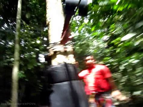 Skytrex adventure park via twitter.com. SkyTrex Adventure Extreme Challenge Shah Alam - YouTube