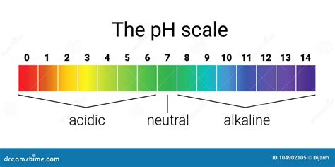 Échelle De Ph équilibre Infographic Dacide Base échelle Pour La Base D