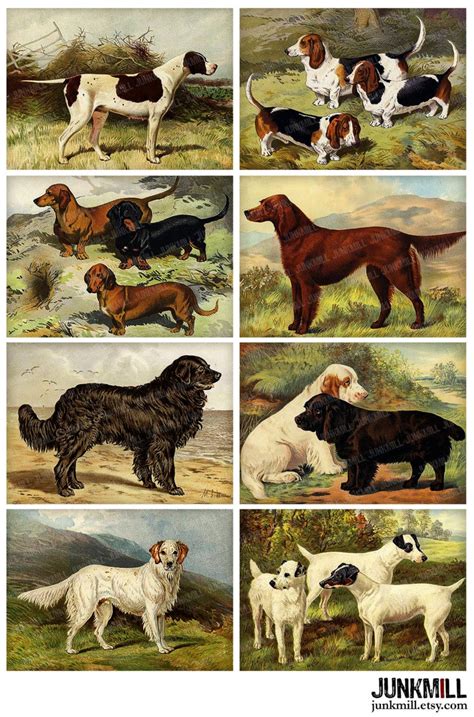 Dog Breeds Digital Printable Collage Sheet Antique Dog Etsy Australia