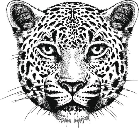 Leopard Print Tattoo Meanings And Creative Design Ideas