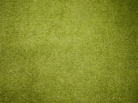 Grass Texture Pictures Download Free Images On Unsplash