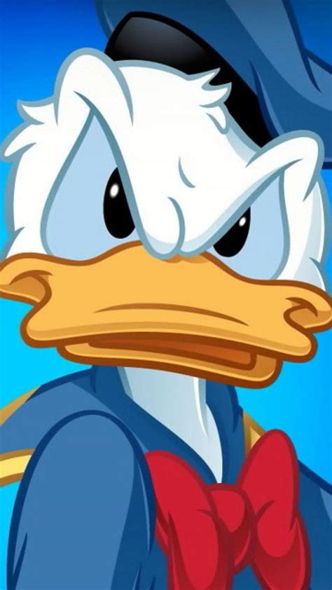 Donald Duck High Res Wallpapers Top Free Donald Duck High Res