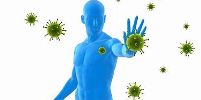 Immune System Boost Strengthen Health Cold المناعه