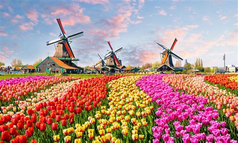 Inhalte dieser seite was sind die unterschiede bei der immobilienfinanzierung? Ferienhaus oder Ferienwohnung in Holland Niederlande ...
