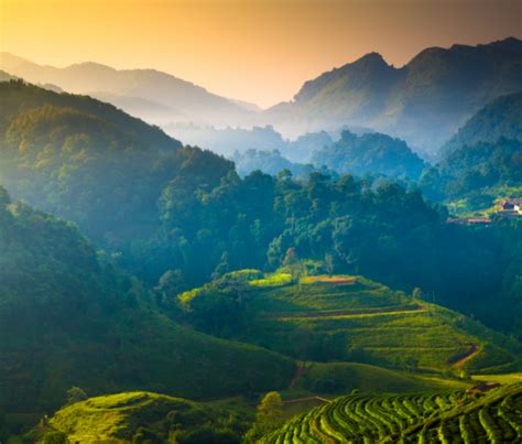 Chiang Mai Thailand Rice Terraces Hills Travel Off Path
