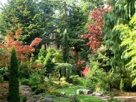 It is not enough to grow the most beautiful things. Pyramids of Giza at Dawn, Egypt | Conifers garden ...