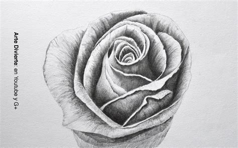 Cómo Dibujar Una Rosa A Lápiz Flores Dibujadas A Lapiz Como Dibujar