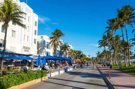 Best Places For Brunch In Miami Fl You Must Try Florida Trippers