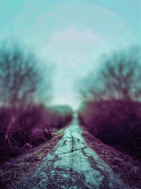 Forest Road Cb Photoshop Editing Background Hd Download Cbeditz