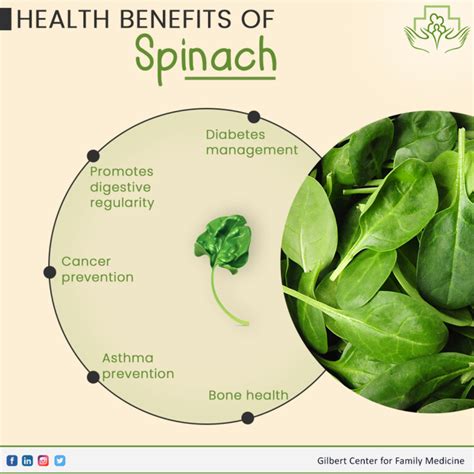 Health Benefits Of Spinach Urgent Care Center Gcfm