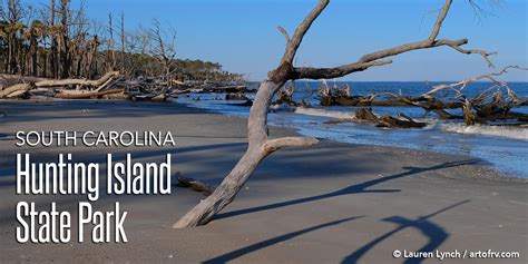 Experience Hunting Island State Park In South Carolina