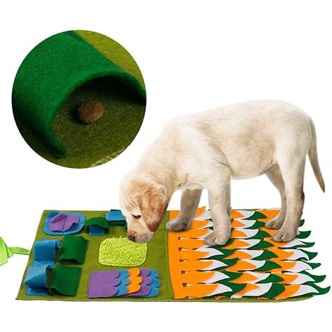 The 15 Best Dog Puzzle Toys to Beat Boredom | Daily Paws