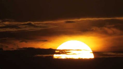 Christian Zennaro Beautiful Lion King Amazing Sunrise Rising Sun In