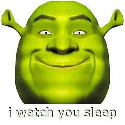 Pin By Theabbyc On Any Random Stuff I Find Shrek Stupid Memes