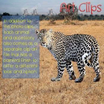 The african savanna grasslands are expansive areas with scattered trees that lie between the continents rainforests and deserts and run along on this page are lists of interesting facts, written for kids and adults, about the african savanna. African Savanna Habitat Animals Clip Art Photo & Artistic ...