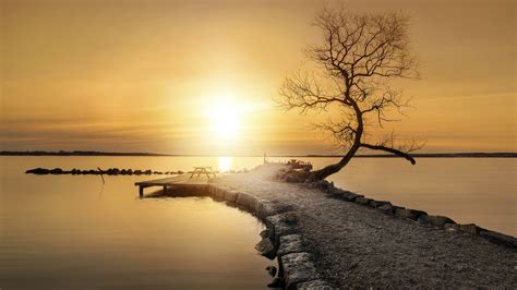 Wallpaper Sunlight Trees Landscape Sunset Sea Lake