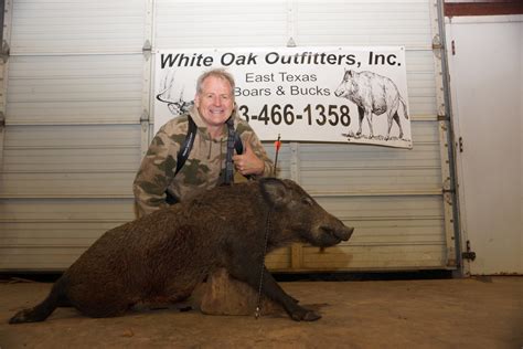 Hog Blog Texas Hog Hunting