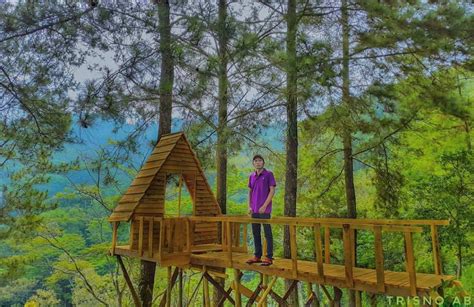 Read reviews from world's largest community for readers. Lokasi Dan Rute Taman Sakura Di Kebun Raya Cibodas, Tak ...
