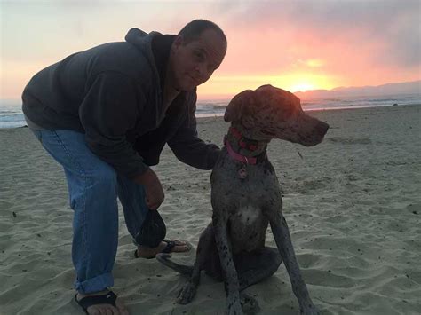 Electronic dog collars also known as e collars, have been a popular police and military dog training aid for more than 30 years. Dog Training in San Luis Obispo | DognPooch | Family Dog ...