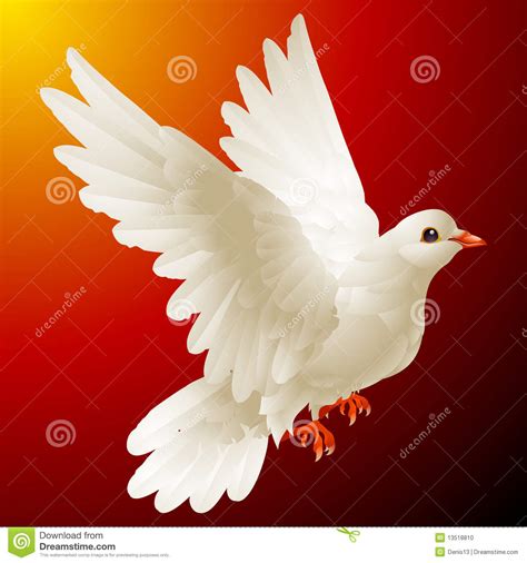 Vector white dove stock vector. Illustration of spiritual - 13518810