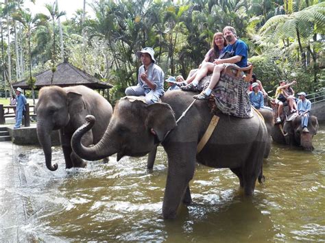 6 Elephant Rides In Bali Add A Royal Touch To Your Vacation