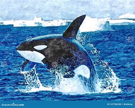 Killer Whale Jumps Out Of The Water Painting Wet Watercolor On Paper