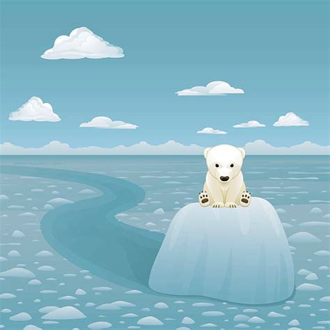 270 Sad Polar Bear Stock Photos Pictures And Royalty Free Images Istock
