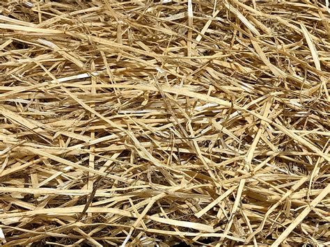 Straw Bales Silt Containment Solutions Inc